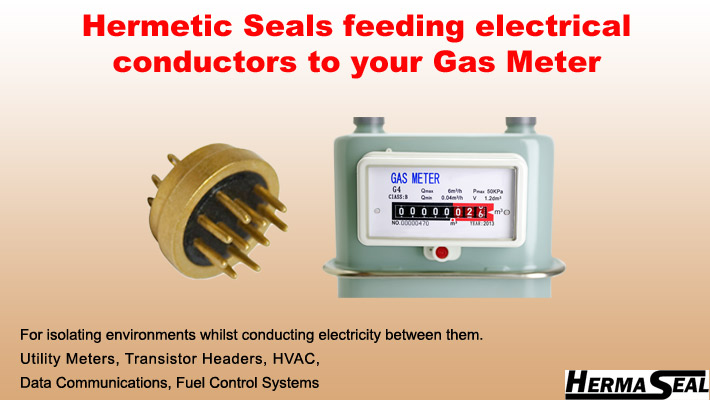 b - Hermetic Seals feeding electrical conductors to your gas meter